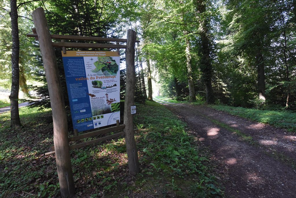 Information board about the Préfonrupt valley at the start of a forest track